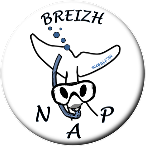 Logo de Breizh Nap