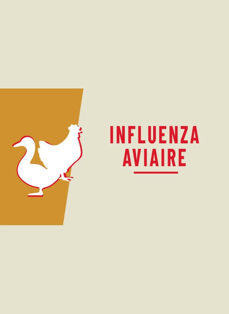 Affiche de l'évènement