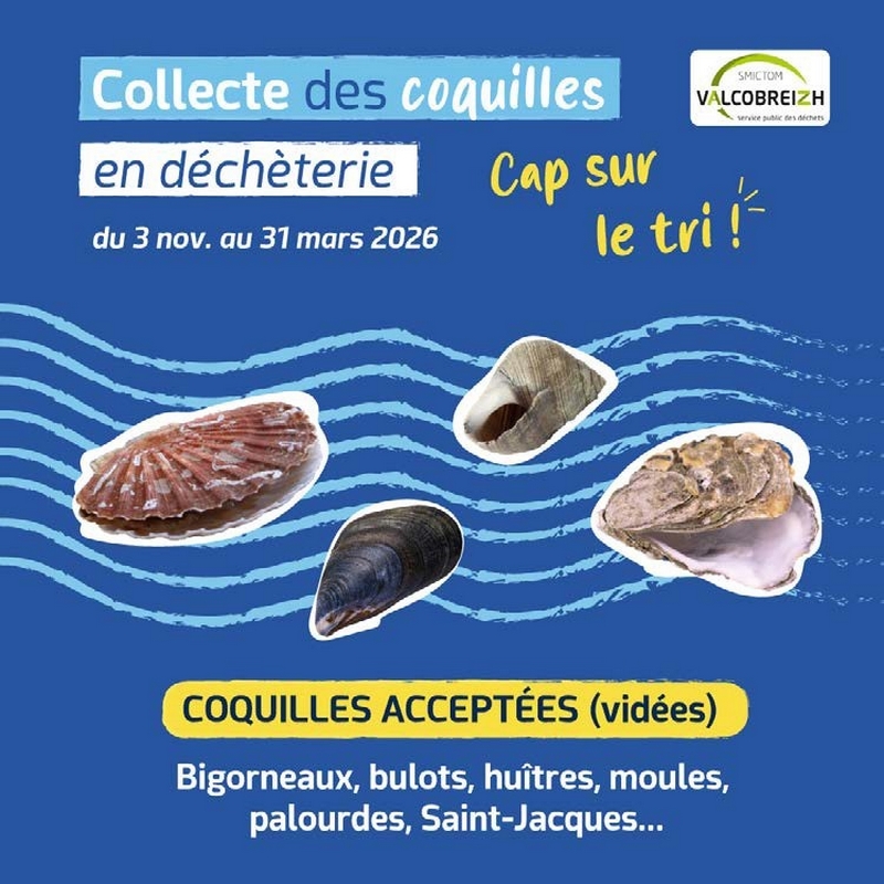 Affiche présentant les fruits de mer