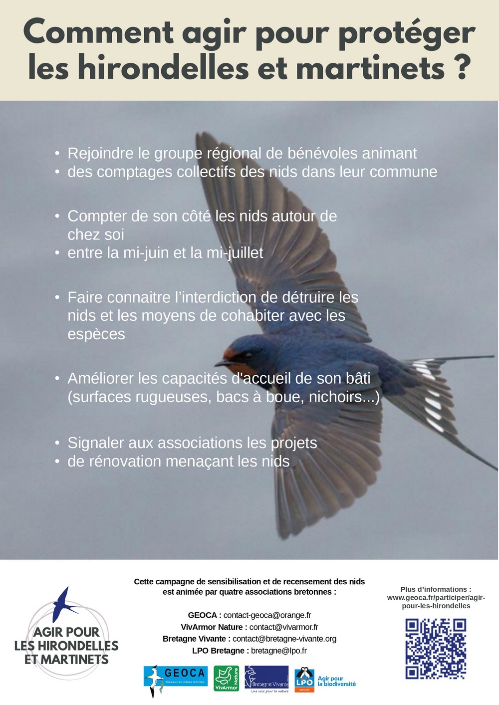 Affiche Comment protéger les hirondelles et les martinets