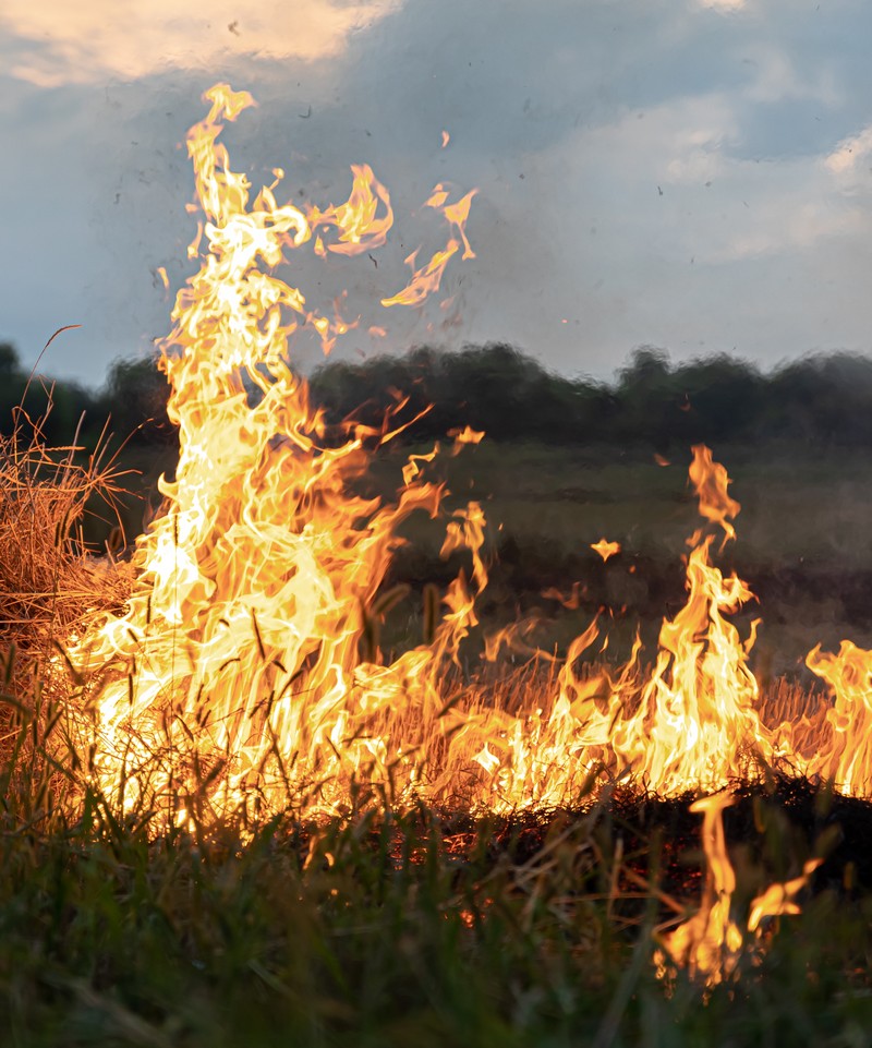 Incendie dans un champ